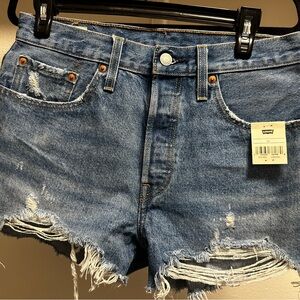 Levi's Distressed Blue Jean Shorts